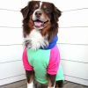 Color Black Hoodie